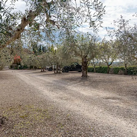 Casa Panorama בית נופש *